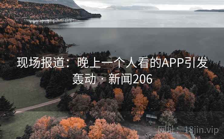 现场报道：晚上一个人看的APP引发轰动 · 新闻206